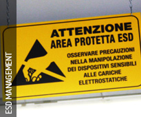 gestione esd