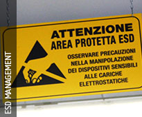 gestione esd